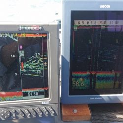 遊漁船ブルーウッズ 釣果