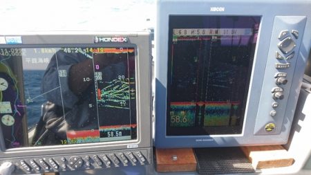 遊漁船ブルーウッズ 釣果