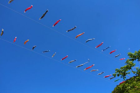 小菅トラウトガーデン 釣果