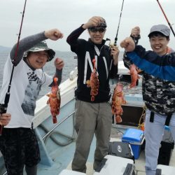 リトルワン 釣果