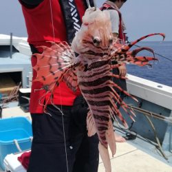 リトルワン 釣果