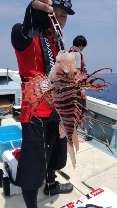 リトルワン 釣果