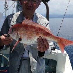 リトルワン 釣果