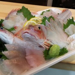 リトルワン 釣果