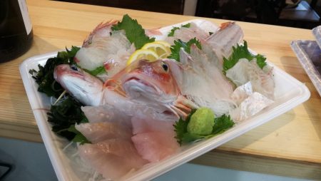 リトルワン 釣果