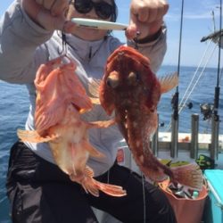 シーモンキー 釣果