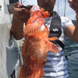 シーモンキー 釣果