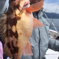 シーモンキー 釣果