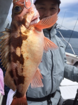 シーモンキー 釣果