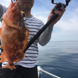 シーモンキー 釣果