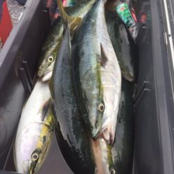 シーモンキー 釣果