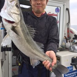 シーモンキー 釣果