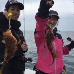 シーモンキー 釣果