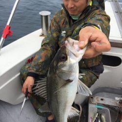 シーモンキー 釣果