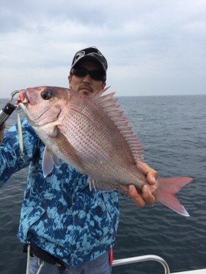 シーモンキー 釣果