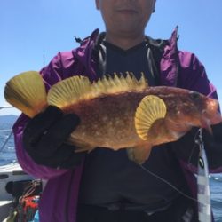 シーモンキー 釣果