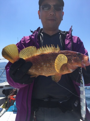 シーモンキー 釣果