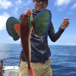 シーモンキー 釣果