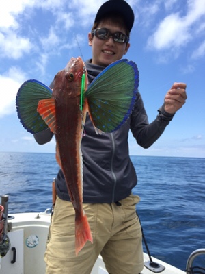 シーモンキー 釣果