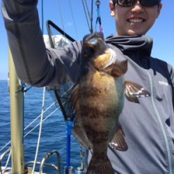 シーモンキー 釣果