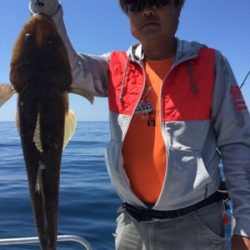 シーモンキー 釣果