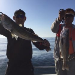 シーモンキー 釣果