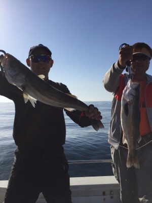 シーモンキー 釣果