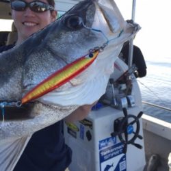 シーモンキー 釣果