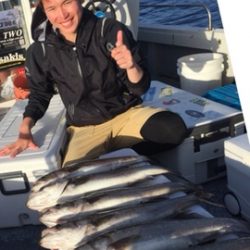 シーモンキー 釣果