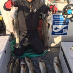 シーモンキー 釣果