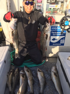 シーモンキー 釣果