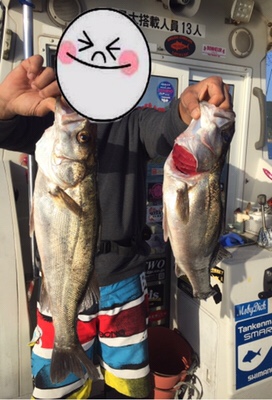 シーモンキー 釣果