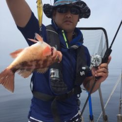 シーモンキー 釣果