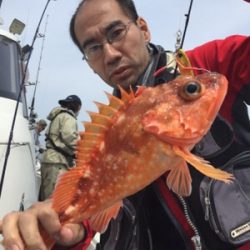 シーモンキー 釣果