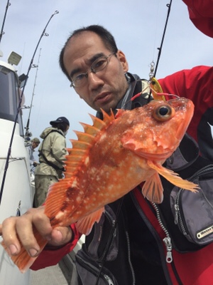 シーモンキー 釣果