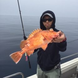 シーモンキー 釣果