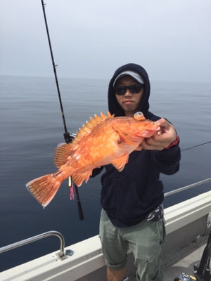 シーモンキー 釣果