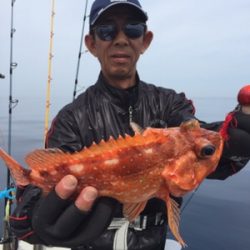 シーモンキー 釣果