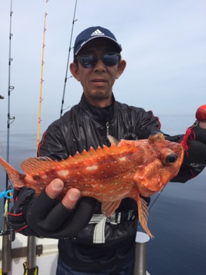 シーモンキー 釣果