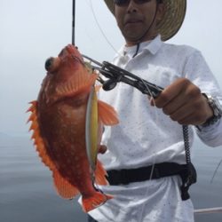 シーモンキー 釣果