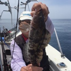 シーモンキー 釣果