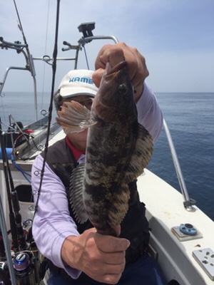 シーモンキー 釣果