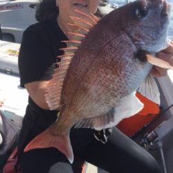 シーモンキー 釣果