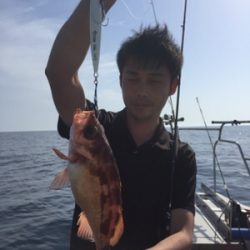 シーモンキー 釣果