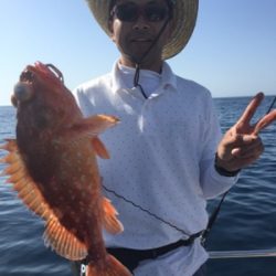 シーモンキー 釣果