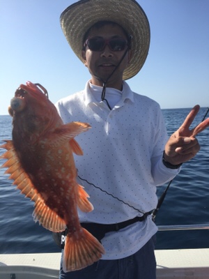 シーモンキー 釣果