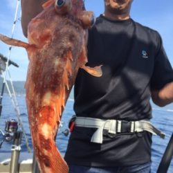 シーモンキー 釣果