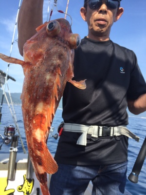 シーモンキー 釣果