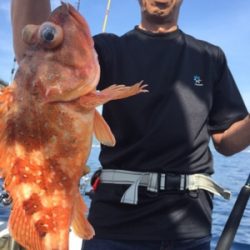 シーモンキー 釣果