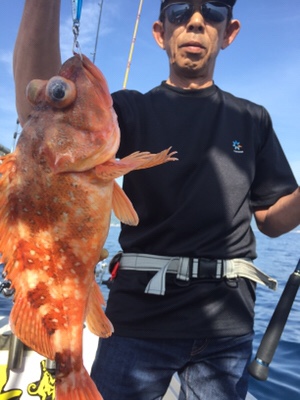 シーモンキー 釣果